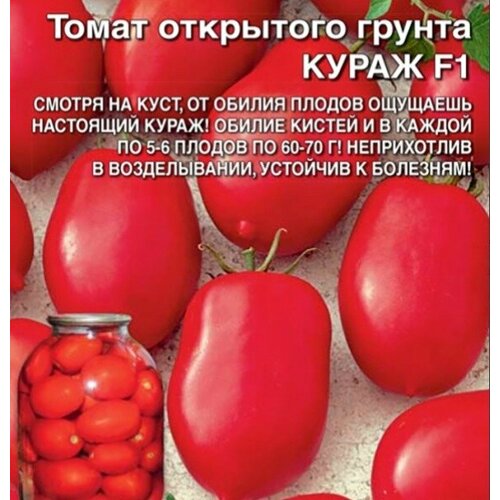 ������ ������ ������ ����� ����� - ��������� ������ F1 (��) �/� �/� ����