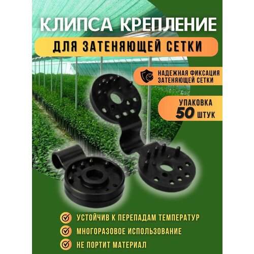 ������ ������ ���������, ������ ��� ���������� ����� �������� 50 ����, ������� ����