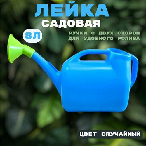 ������ ������ ����� ������� 8� / ����� ��� ���� � ������������� 8 ������ / ������� ����� ����