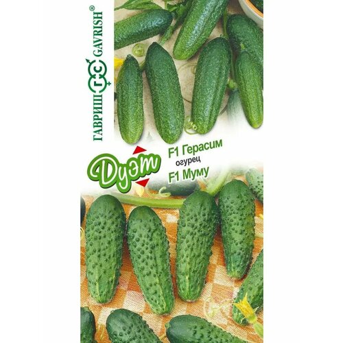 ������ ������ ������ 