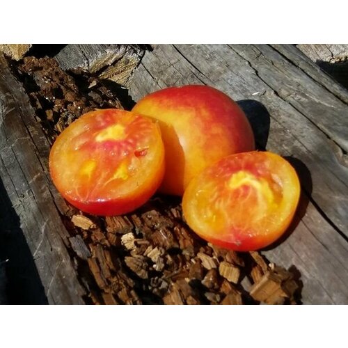 ������ ������ ������������� ������ ������ ����� ����