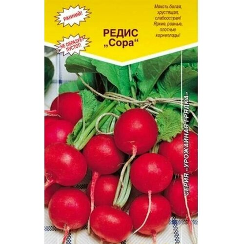 ������ ������ ������������� ������ ������ ���� ����