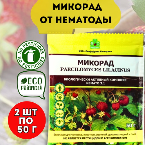 ������ ������ ������� ��������� ������� NEMATO 3.1 ����������� �� �������� ���������� ����� �������� 50 �, 2 �� ����