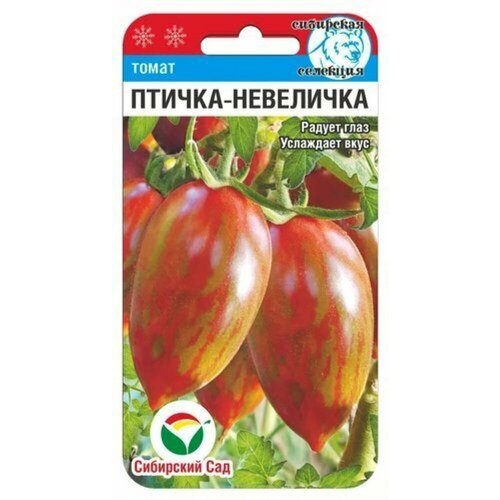 ������ ������ ������ ����� ������-��������� 20�� ����� (��������� ���) ����