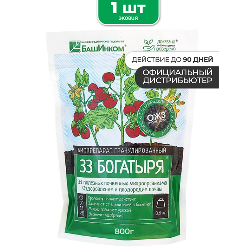 ������ ������ ��������� 33 �������� � �������� 1 �� ����