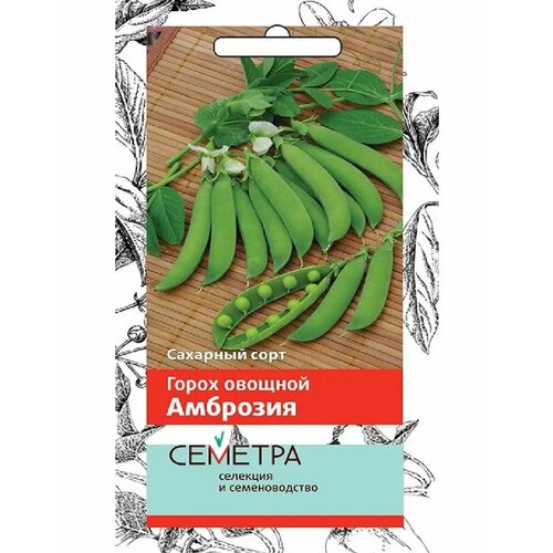 ������ ������ ������ ������ ����� �������� 10 � ����