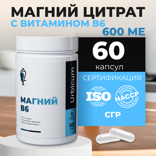 ������ ������ ������ ������ � ��������� �6 Urbicum 600 �� � �������� ����