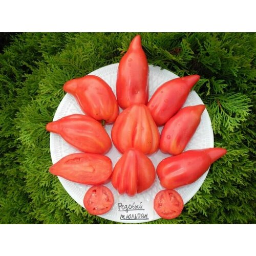 ������ ������ ������������� ������ ������ ������� ������� ����