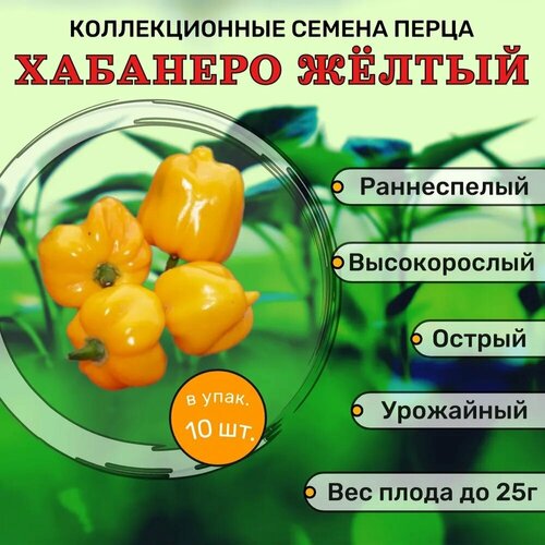 ������ ������ ������������� ������ ����� ������� �������� ����� ����