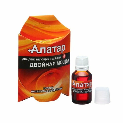 ������ ������ ������ 25��. ������� ���� (������ �� ���������-����������) ���� ��������� ����