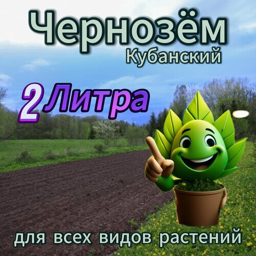 ������ ������ ������� 2 ����� ����