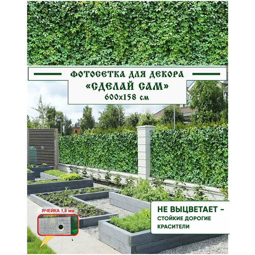 ������ ������ ��������� ����� ��� ������ ������ 