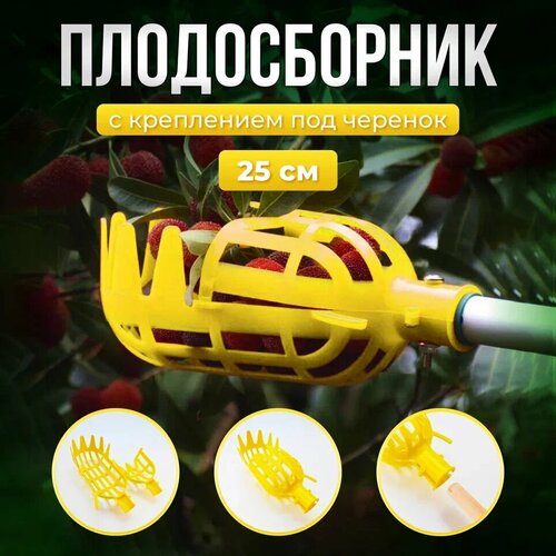 ������ ������ ������������ ��� �������: �����, ����, �����, �����, ���������. ������������ ����������� 25�� (�����) ����