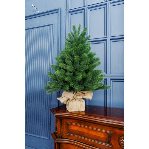 ������ ������ ��� ������������� ���������� �������� ���������� ������� ����� ������. ����