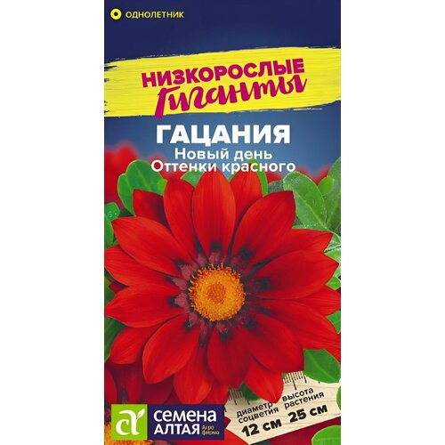 ������ ������ ������ ������ ������ ����� 