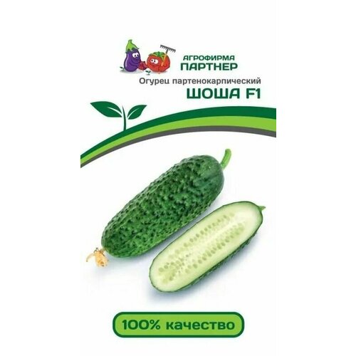 ������ ������ ������ ���� F1 ��������������� ������ ������� (1 ��������-5 �� �����) ����