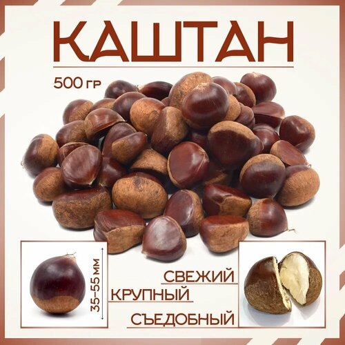 ������ ������ ����� ������� 500� ����