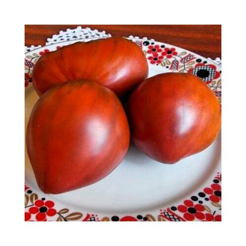 ������ ������ ������������� ������ ������ ׸���� ������ ����� ����