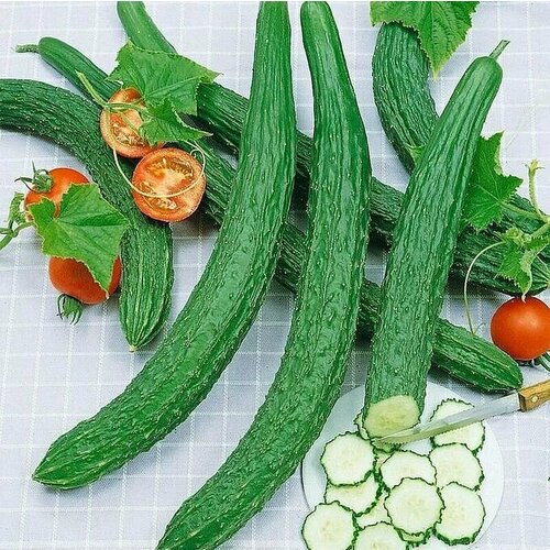 ������ ������ ������������� ������ ������ F1 ��������� ���������� ����