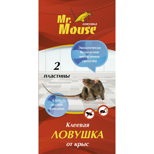      2  Mr. Mouse   -     , -,   