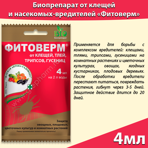 ������ ������ �������� ����������� �� ���, ������, ���������� 4�� ����