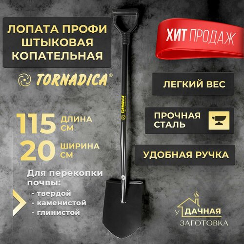 ������ ������ ������ �������� PROFI ����