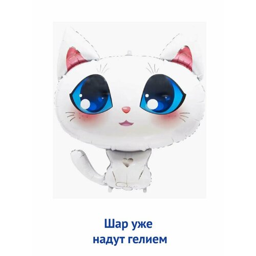 ������ ������ ��������� ��� � ������ �������������� ������ ������� ����� ����