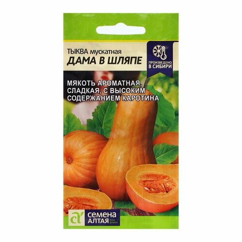 ������ ������ ������ ����� 