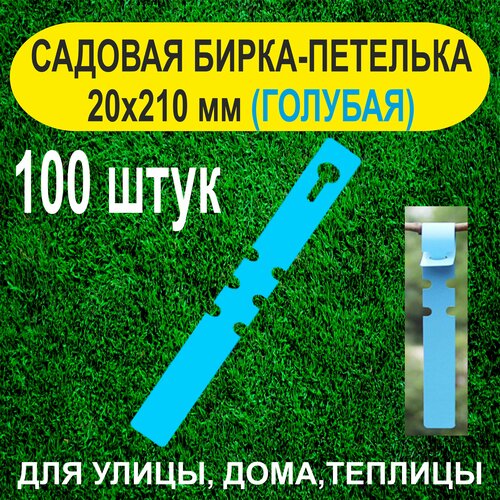 ������ ������ ������� �����-�������� 20x210 ��. 100 ���� (�������) ����