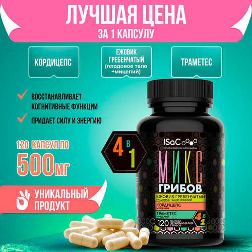 ������ ������ ���� ������ ������ �����������, ���������, �������� 120 ������ �� 500 �� ������� � �������� ����� ����