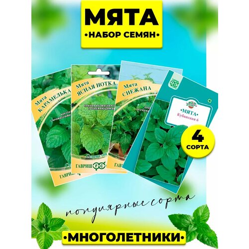 ������ ������ ����� ����� ���� 4 ����� ����