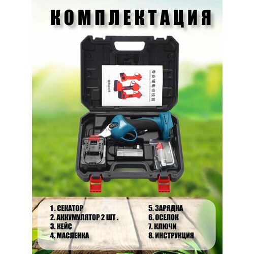 ������ ������ ������� �������, ��������, �������������� ����