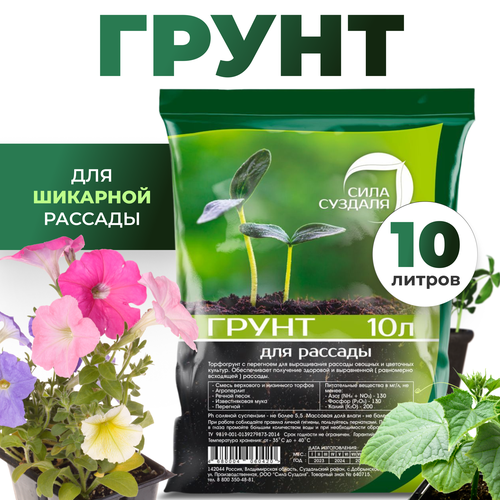 ������ ������ ����� (�����) ��� ������� ������ � ������ ���� �������, 10 � ����