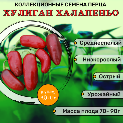 ������ ������ ������������� ������ ����� ������� ������� ��������� ����