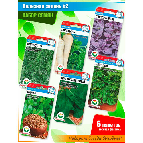 ������ ������ ����� ����� ������ �� ���������� ���� (6 �����) ����