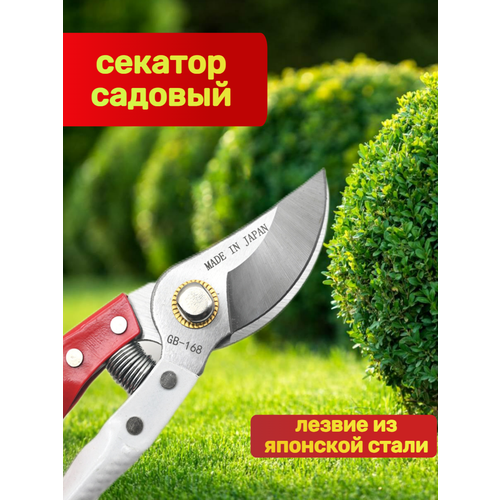 ������ ������ ������� ������� ������������� �� �������� ����� 1 ��. ����