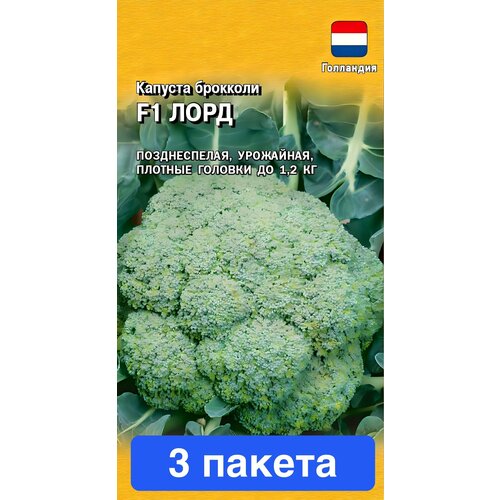 ������ ������ ������ ������ ������ 