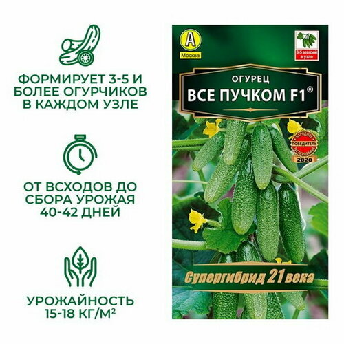 ������ ������ ������ ������ 