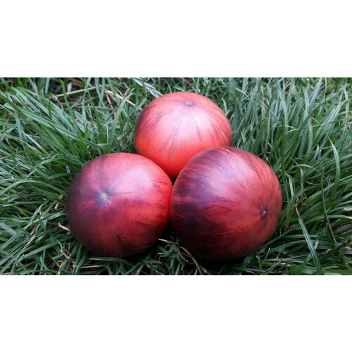 ������ ������ ������������� ������ ������ ��������� ���� ������� ����