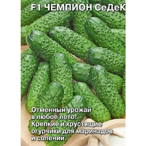 ������ ������ ������������� ������ ������ F1 ������� ����� ����