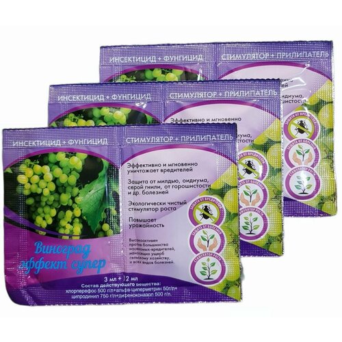 ������ ������ �������� ������ ����� ��������� ��������� 3 � 1 (���������� �����, ������ �� ���������� � ��������), 3 ����� ����