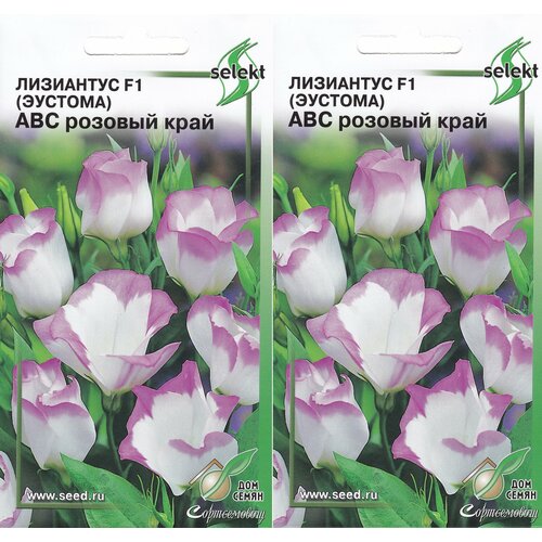 ������ ������ ��������� F1 (������� ) ��� ������� ����, 2 �������� �� 5 ����� ����