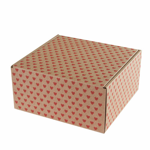 ������ ������ ������� ��������, ��������, �����, 20*20*10 ��, 1 ��. ����