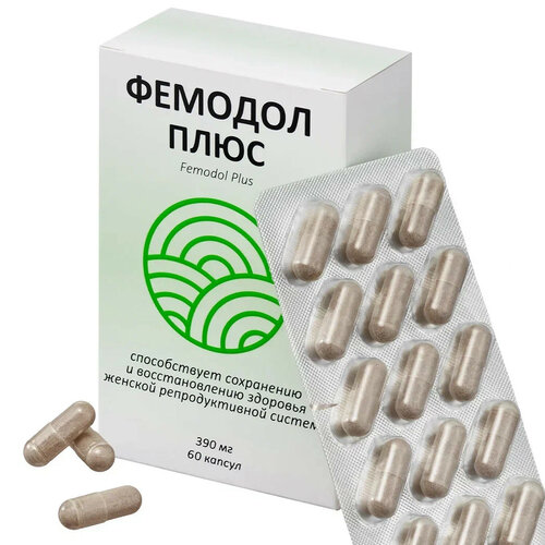 ������ ������ ������� ���� ����., 62 �, 60 ��. ����