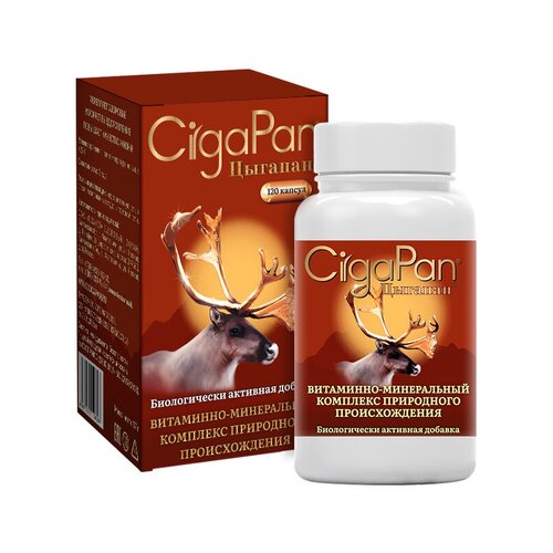 ������ ������ ������� ��������������� �������� � �������� 120 ������ ����