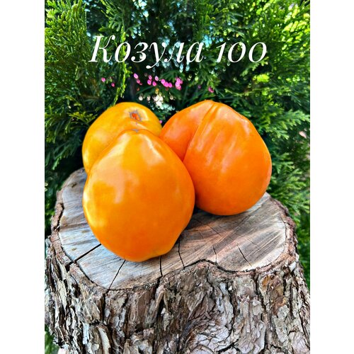 ������ ������ ������������� ������ ������ ������ 100 ����