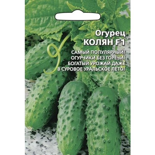 ������ ������ ������������� ������ ������ ����� F1 ����