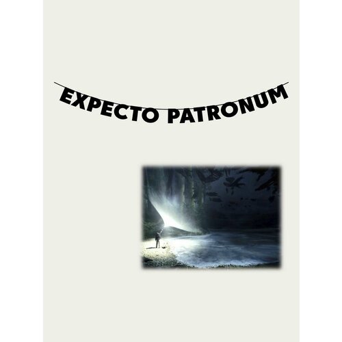        - EXPECTO PATRONUM   -     , -,   