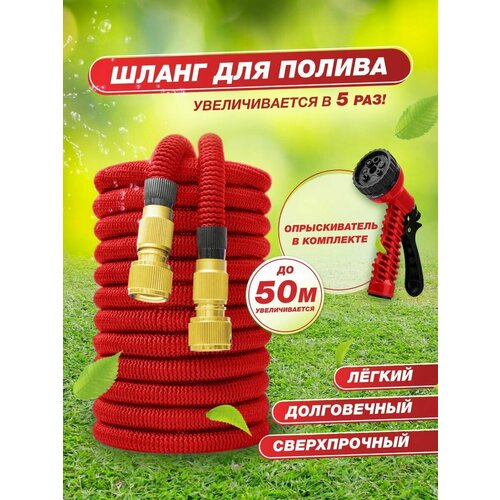 ������ ������ ������� ���������� ����� ��������������� 50� ����