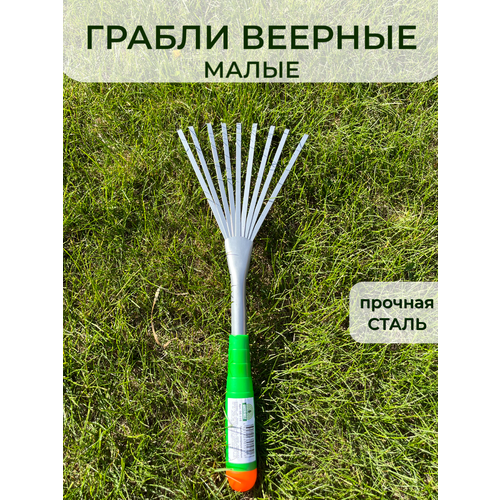 ������ ������ ������ ������� ������� ������������� ��������� ��� ������� ����